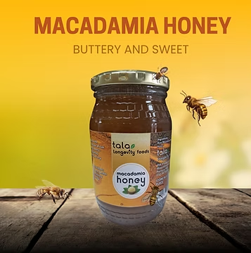 Macadamia Honey